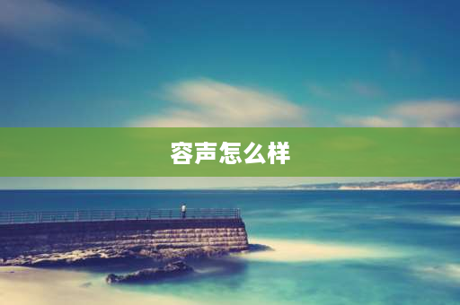 容声怎么样 容声503怎么样？