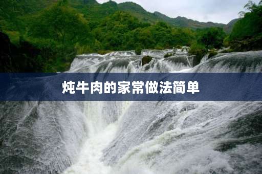 炖牛肉的家常做法简单 东哥炖牛肉的家常做法？