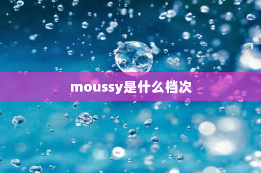 moussy是什么档次 moussy sly属于几线牌子？