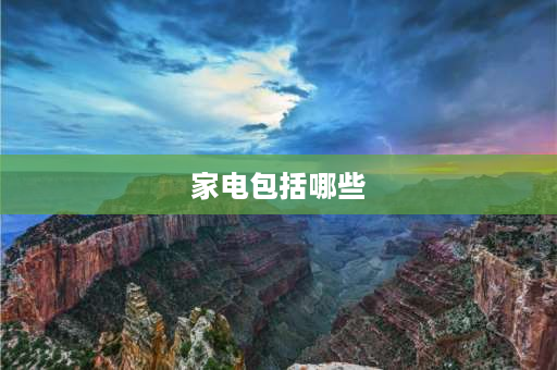 家电包括哪些 电视机、电冰箱、电饭煲、空调这些东西的总称是什么？