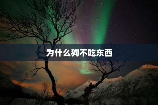 为什么狗不吃东西 狗狗不想吃东西什么原因？