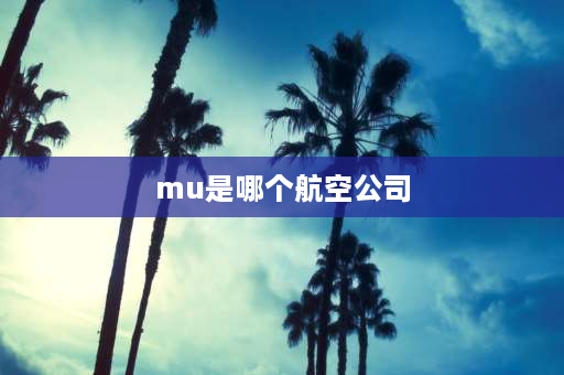 mu是哪个航空公司 cz代表哪个航空公司？