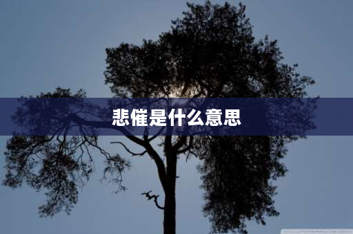 悲催是什么意思 这生活过得好悲催是什么意思？