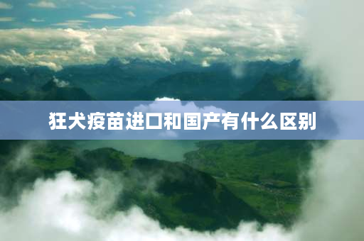 狂犬疫苗进口和国产有什么区别 请问给狗狗打疫苗国产的不如进口的吗，还是不能打国产的？