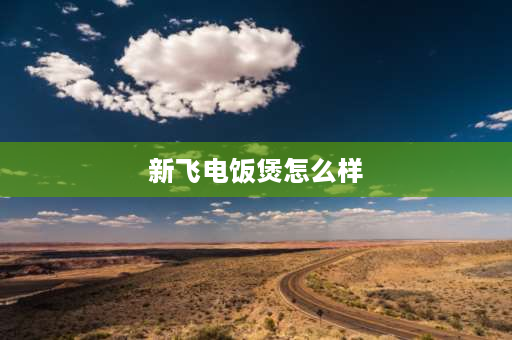 新飞电饭煲怎么样 新飞电饭煲使用演示？