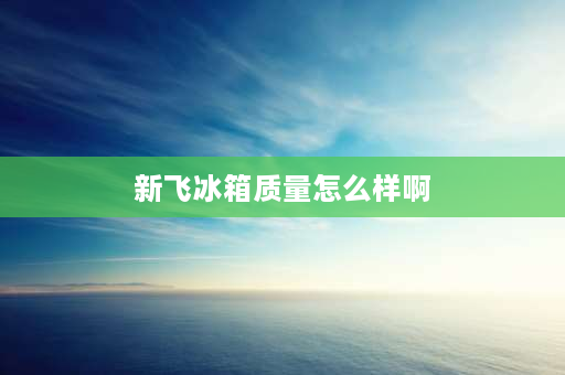 新飞冰箱质量怎么样啊 新飞冰箱质量怎么样？