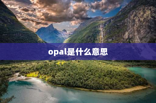 opal是什么意思 牛津词典第9版和第10版哪个好？