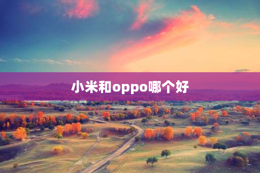 小米和oppo哪个好 oppo vivo 小米这三款手机哪个好？