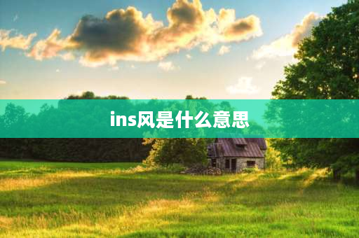 ins风是什么意思 ins风格啥意思？