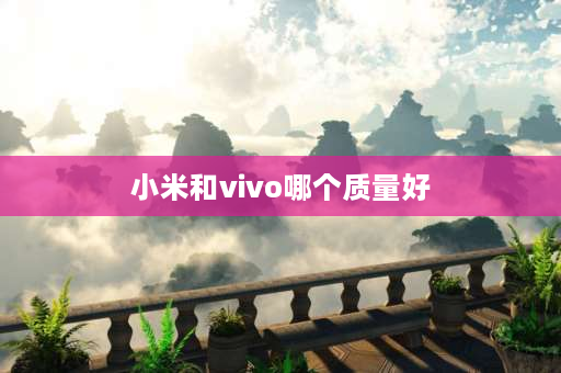 小米和vivo哪个质量好 小米和vivo那个耐用？