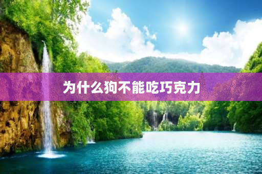 为什么狗不能吃巧克力 狗为什么不能吃巧克力，狗吃巧克力会死吗？