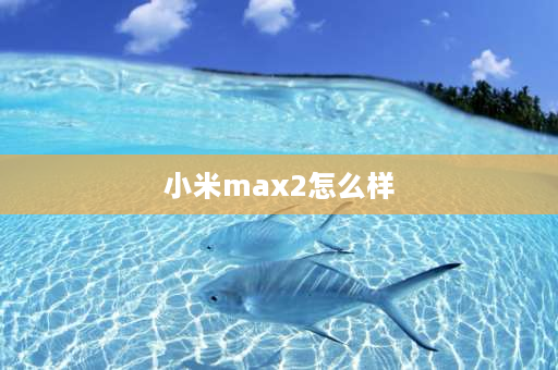 小米max2怎么样 小米max2屏幕材质好不好？