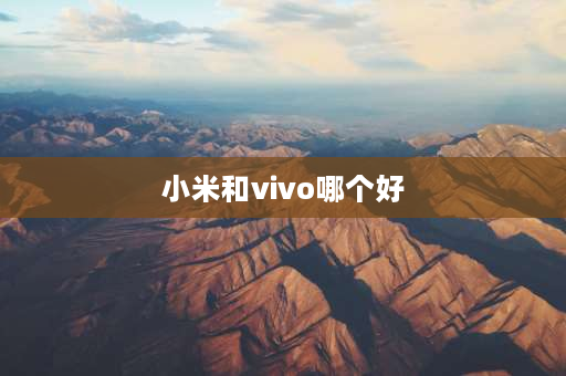 小米和vivo哪个好 oppo vivo 小米这三款手机哪个好？