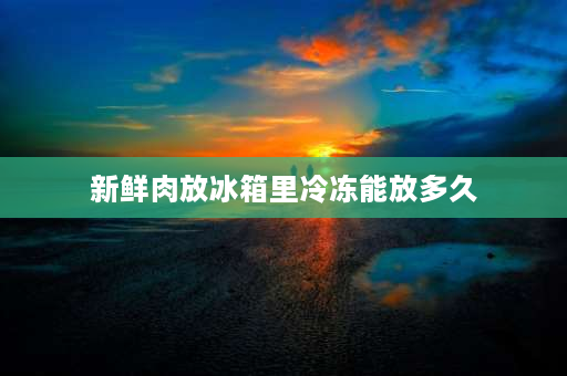 新鲜肉放冰箱里冷冻能放多久 冻肉夏天拿出来放常温多久坏？