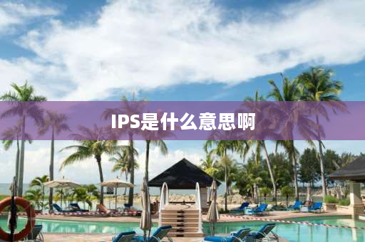 IPS是什么意思啊 IPS到底是什么意思呀？