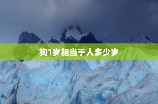 狗1岁相当于人多少岁 狗狗的两岁相当于人多少岁啊，我家狗狗毛都白了是老了吗？