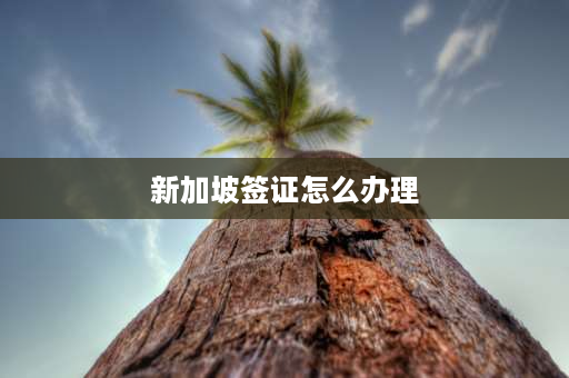 新加坡签证怎么办理 如何办理新加坡的签证（可停留半年到1年的签？