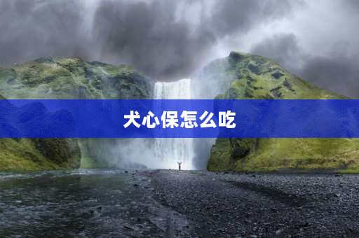 犬心保怎么吃 犬心保饭前还是饭后吃？
