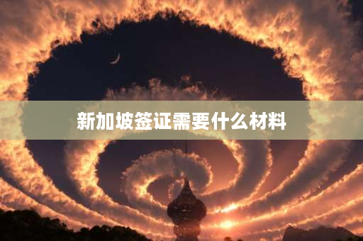 新加坡签证需要什么材料 2023年5月10从新加坡回中国需要什么手续？