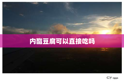 内酯豆腐可以直接吃吗 内酯豆腐最佳吃法？