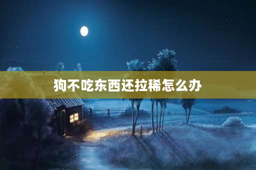 狗不吃东西还拉稀怎么办 求救啊！我家的狗狗不吃不喝还呕吐拉稀，我该怎么办啊？