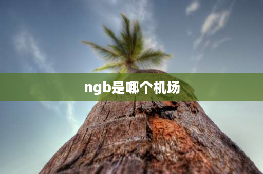 ngb是哪个机场 宁波栎社国际机场几个出口？