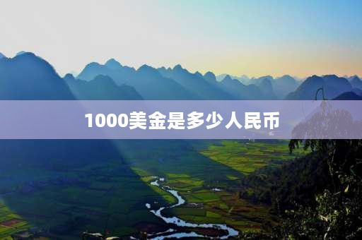 1000美金是多少人民币 1000欧兑换多少人民币？