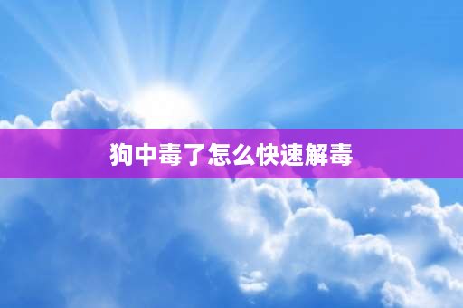 狗中毒了怎么快速解毒 请问狗狗吃错东西中毒了，有什么办法可以尽快解毒？