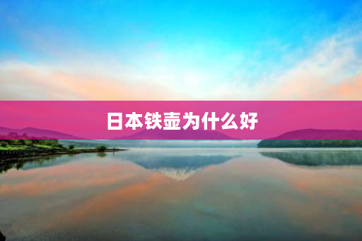 日本铁壶为什么好 日本鸿荣堂铁壶简介？