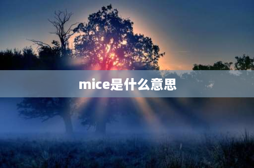 mice是什么意思 mice复数是什么？