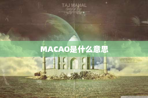 MACAO是什么意思 车牌fv跟港澳牌区别？