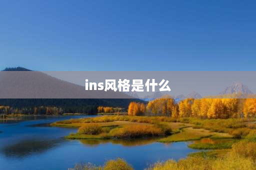 ins风格是什么 ins风格什么意思？