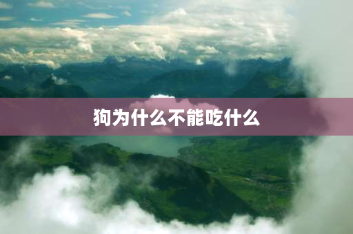 狗为什么不能吃什么 为什么狗不能吃狗肉？