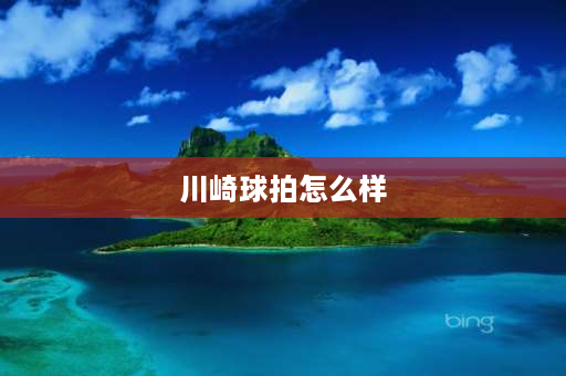 川崎球拍怎么样 红双喜和川崎羽毛球拍哪个好点？