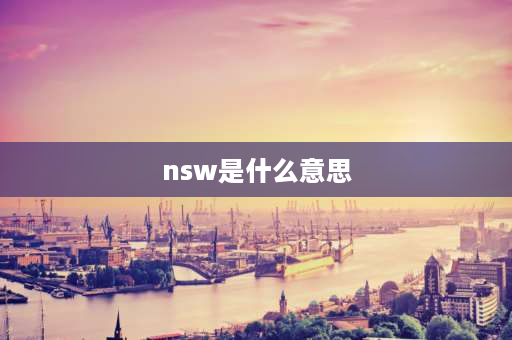 nsw是什么意思 nswd是什么缩写？