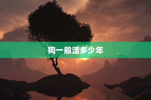 狗一般活多少年 我们家的狗9岁了等于人类多少岁…狗的一般寿命是多少？