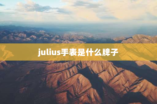 julius手表是什么牌子 kaers萨克斯是什么牌子？