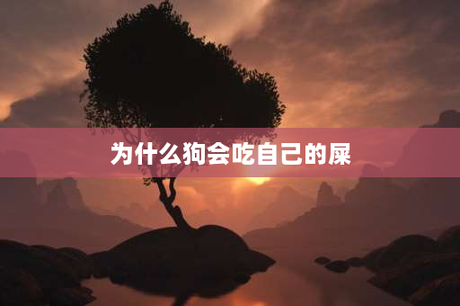 为什么狗会吃自己的屎 小狗吃自己拉的屎怎么办？