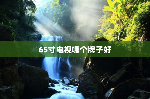 65寸电视哪个牌子好 65寸vidaa哪个系列更好？