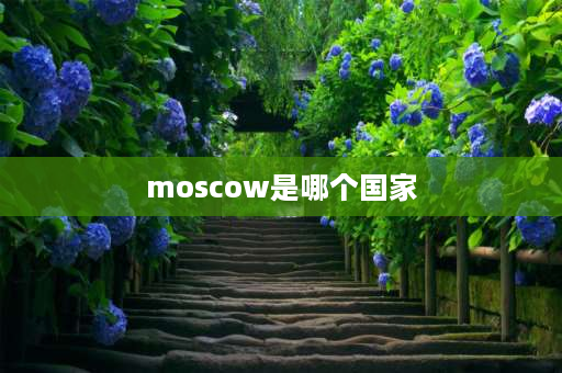 moscow是哪个国家 莫斯科位于什么洲？