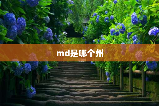 md是哪个州 安德玛md码是什么意思？