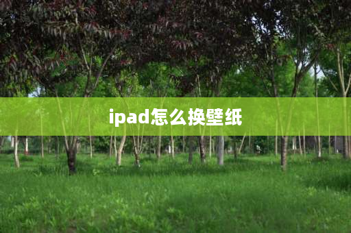 ipad怎么换壁纸 平板iPad怎么安装壁纸？