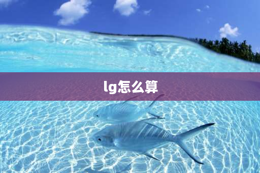 lg怎么算 ln怎么算？