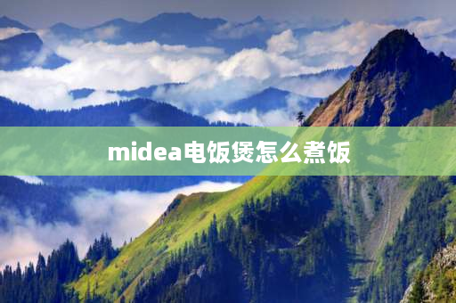 midea电饭煲怎么煮饭 美的电饭煲使用教程？