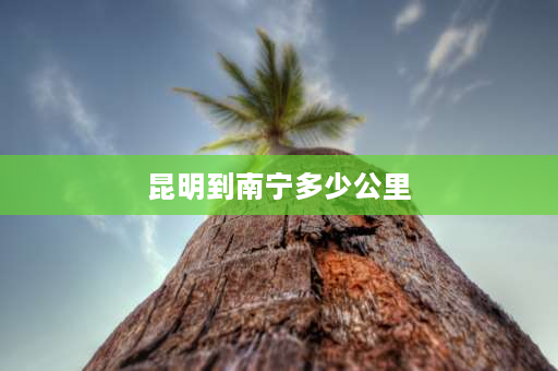 昆明到南宁多少公里 南宁开车去昆明走哪条高速好？