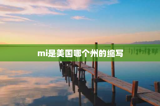 mi是美国哪个州的缩写 mi靠近哪个机场？