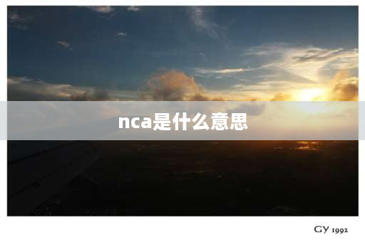 nca是什么意思 NCA是什么意思？