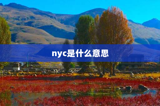 nyc是什么意思 NYC什么意思？