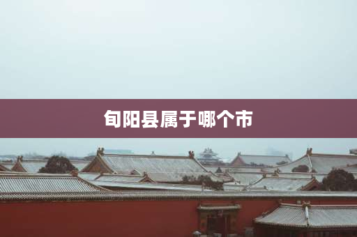 旬阳县属于哪个市 陕西旬阳地理位置？