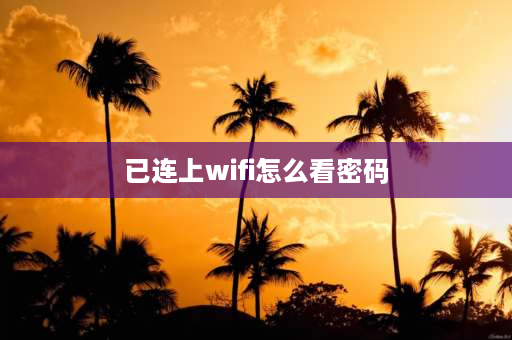 已连上wifi怎么看密码 手机上怎样查看正在使用的wⅰFi密码？